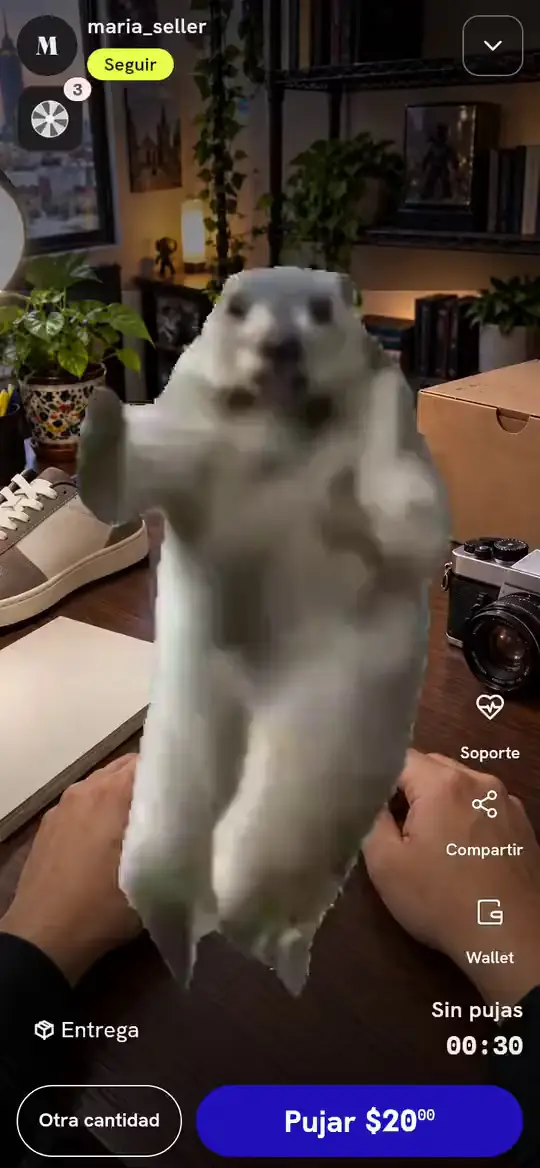 Simulación: un show de Onda visto por un comprador mientras suena un meme en video.